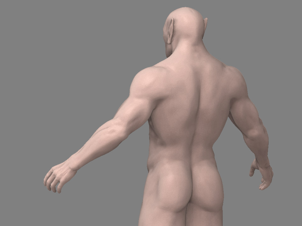 back.jpg