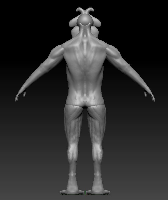 Improvement 1 back view