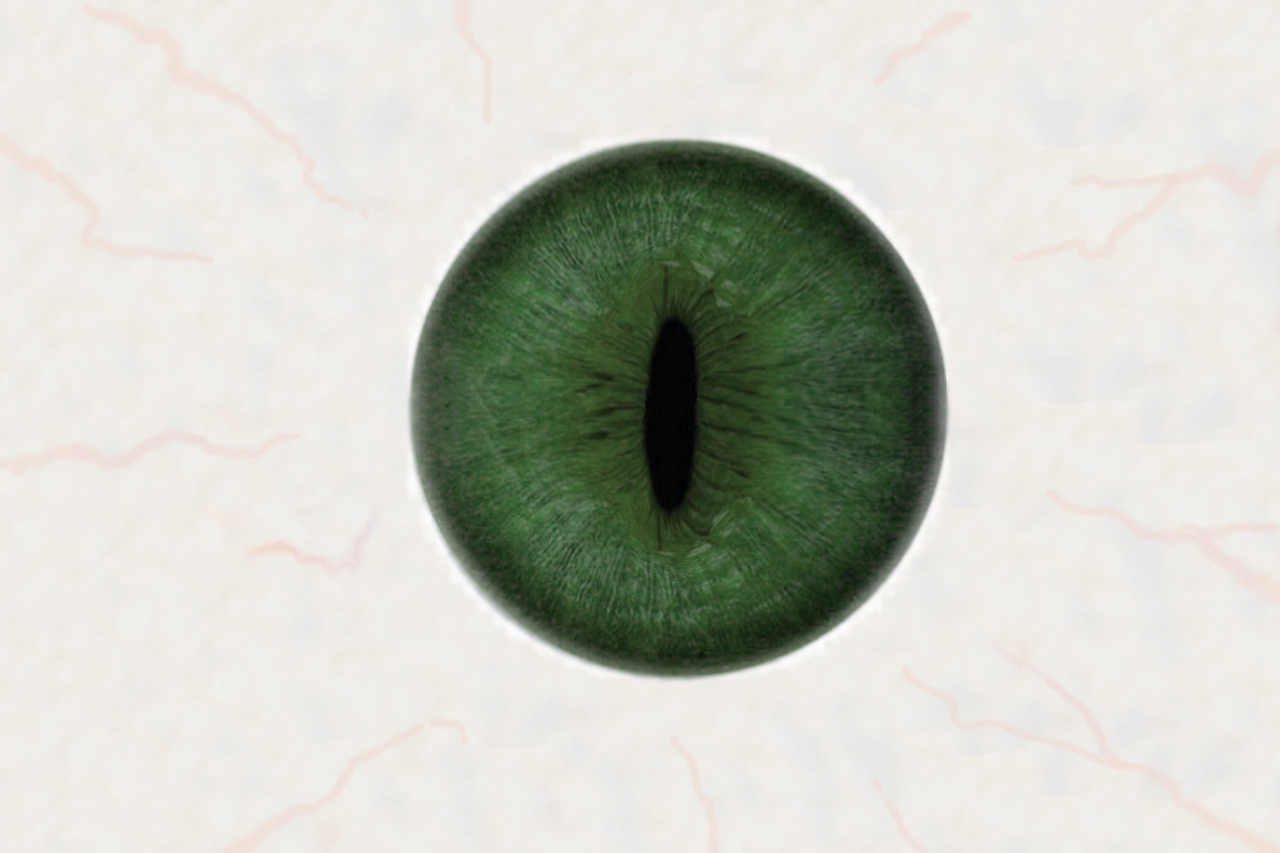 oog_slot.jpg