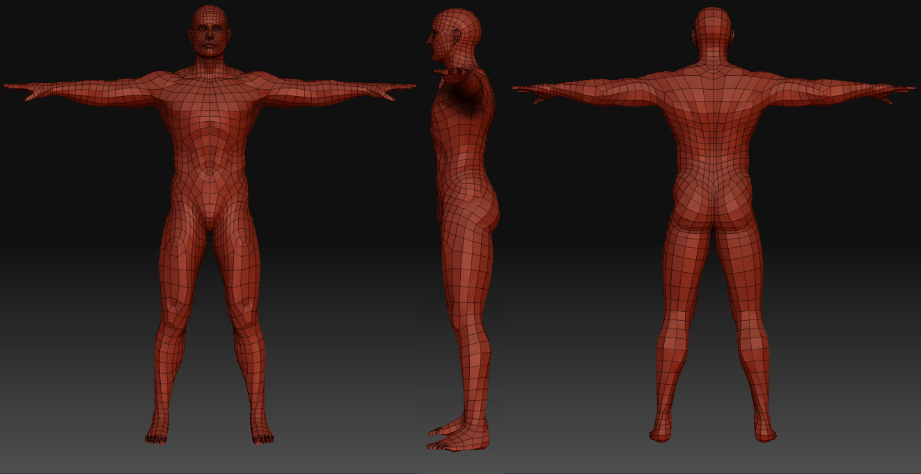 MaleBodyWireFrame_01.jpg