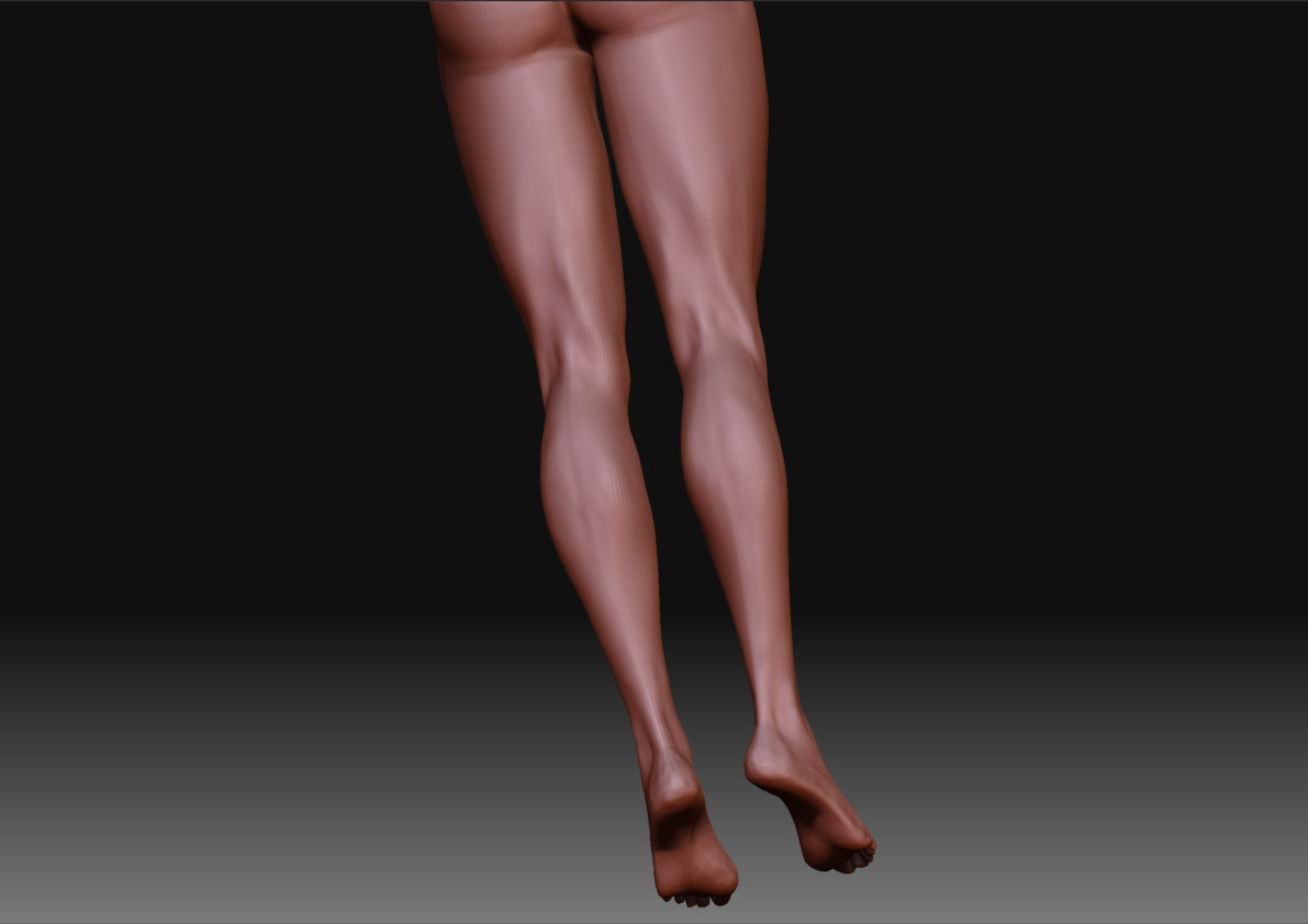 Legs_back.jpg