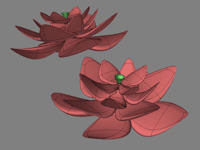 lotus_test.jpg