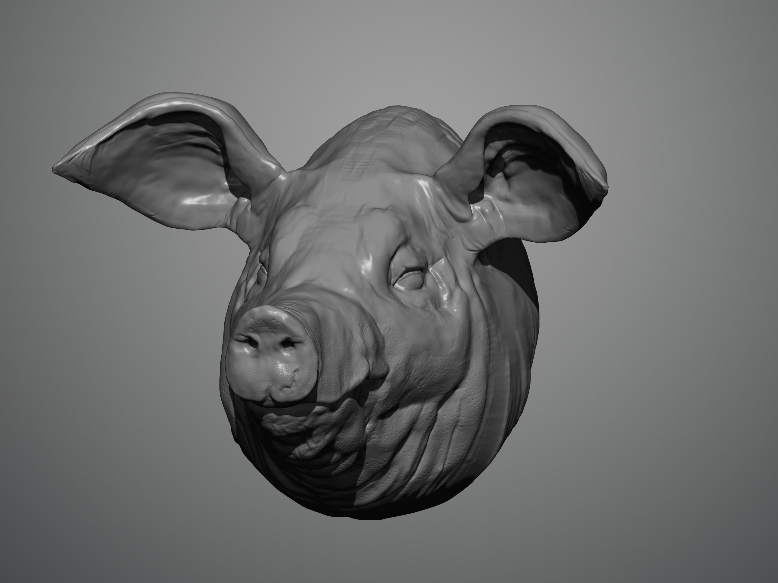 render2.jpg