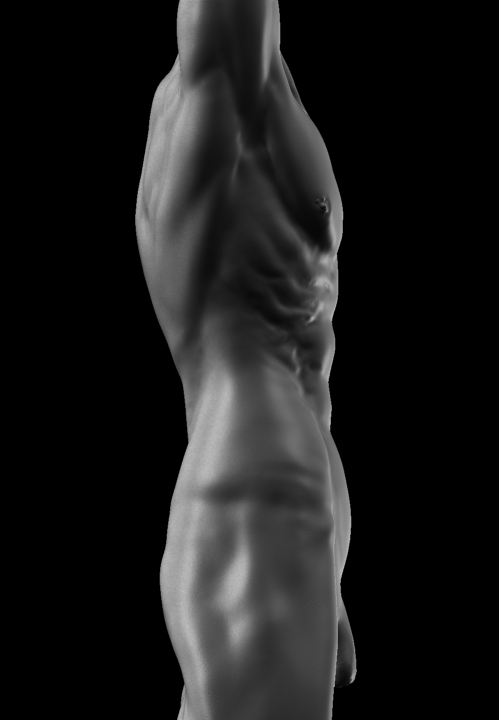 Male-Torso-01.jpg