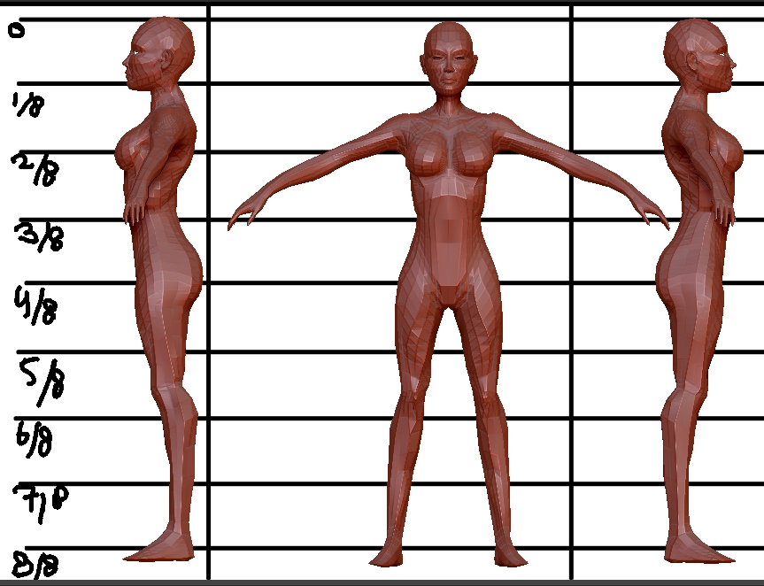 FEMALE ANATOMY correction.jpg