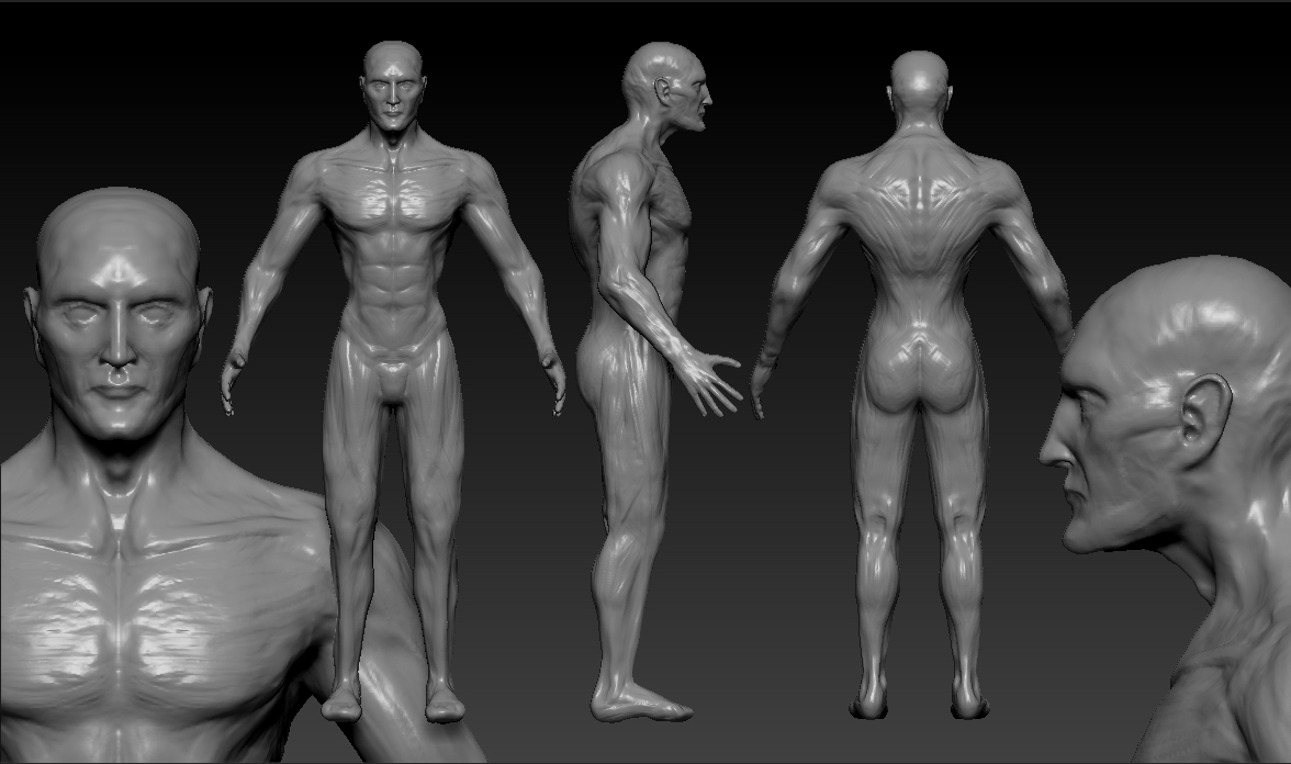 Male_02.jpg