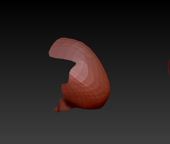 retopo2.jpg