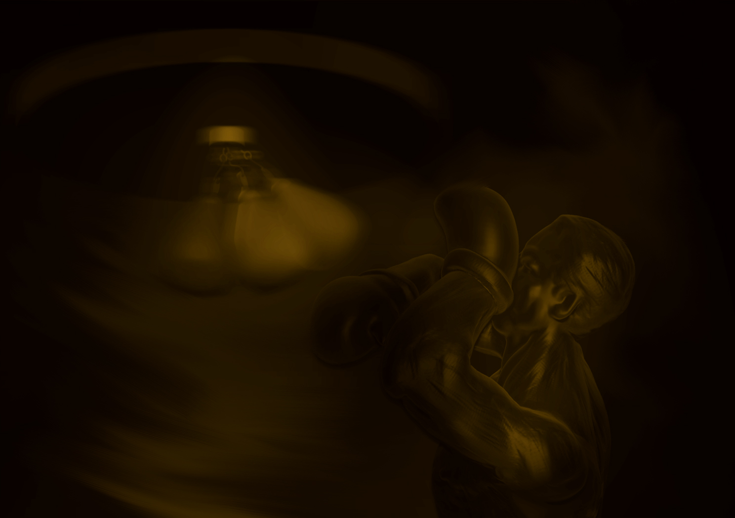 SPEED BAG BOXER 14.jpg