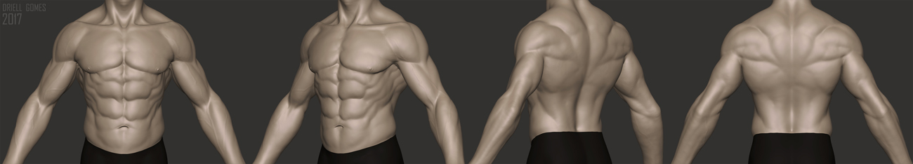 DS Body Sides2.jpg