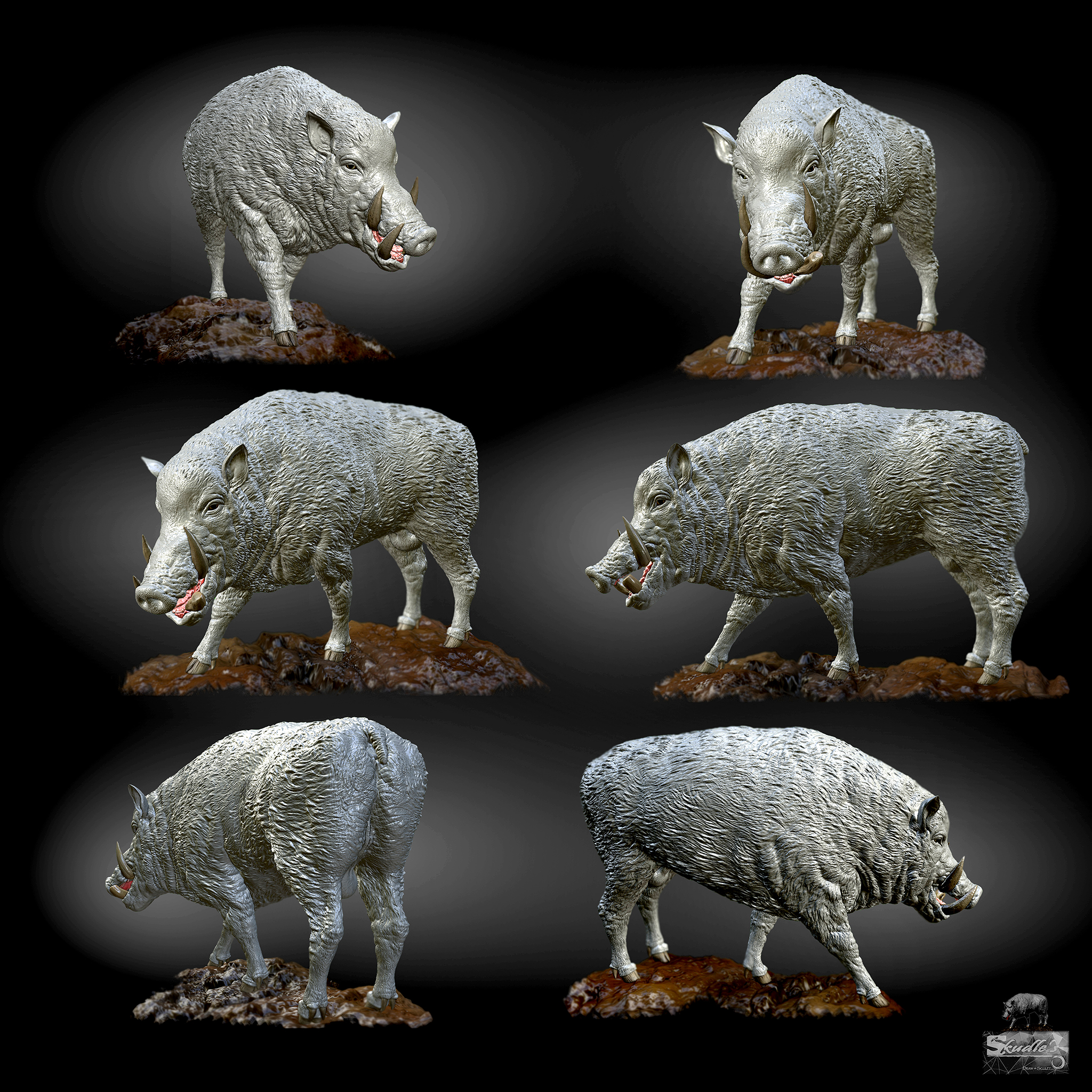 wild%20boar%20concern%20pose%20view