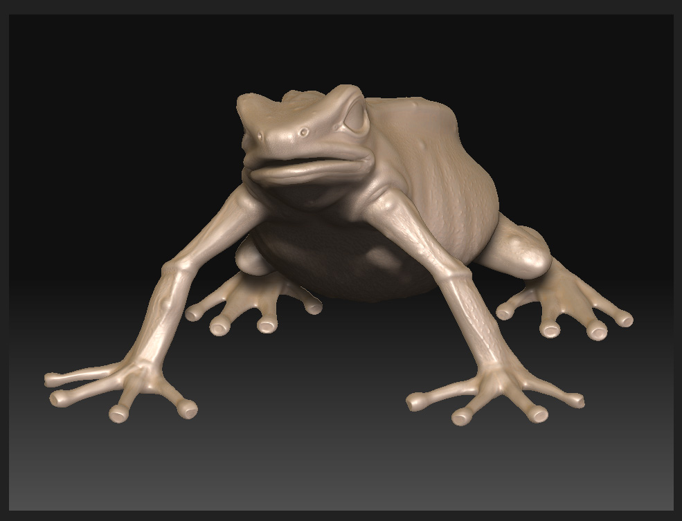 frog_zbrush_002.jpg