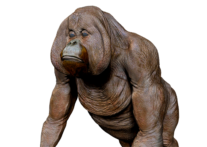 ehe.png