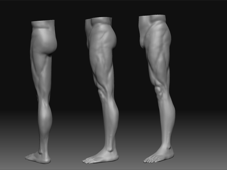 leg.jpg