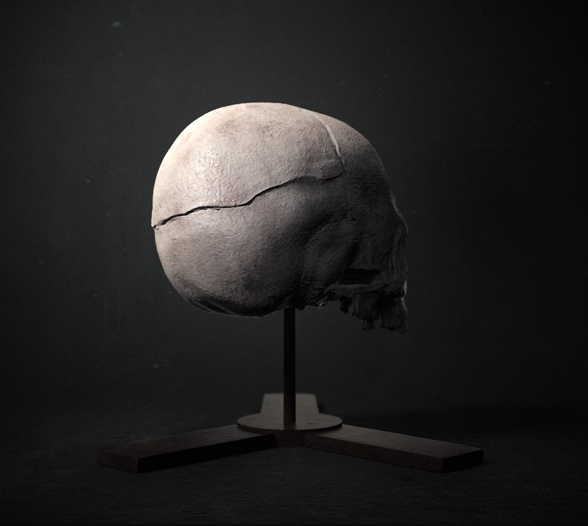Syphilis Skull Render 05.jpg