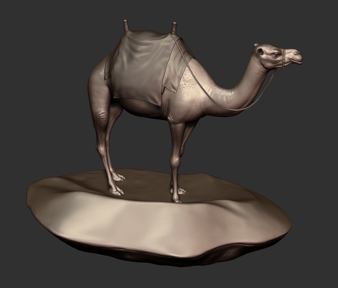 camel_3.jpg