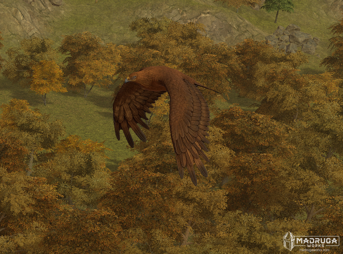 screen_eagle_02