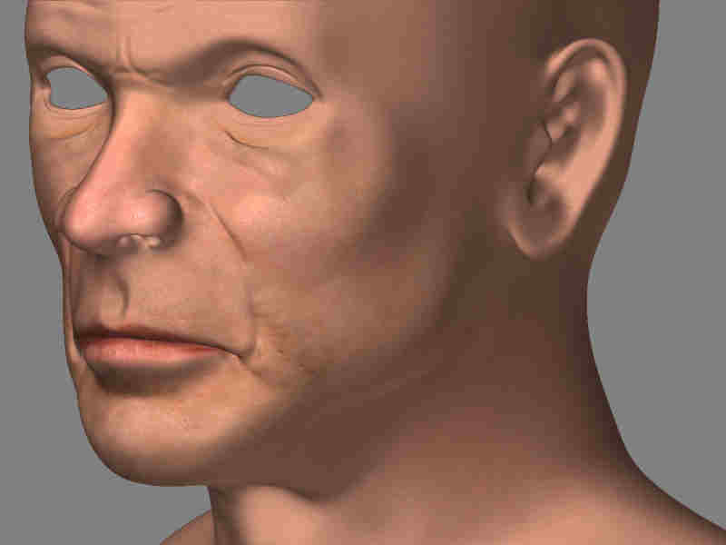 headwipcolour.jpg