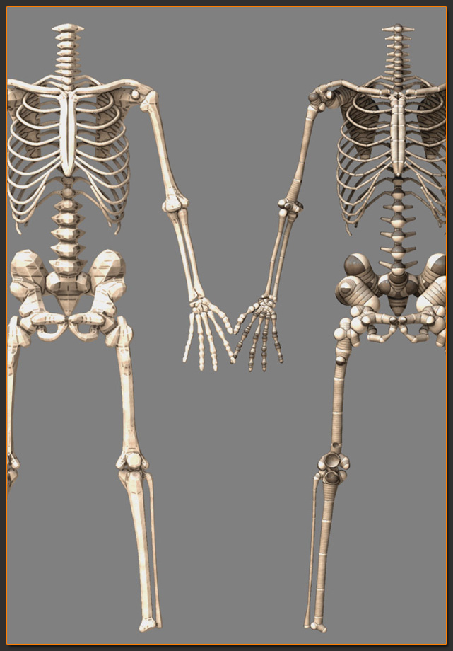 skeleton.jpg