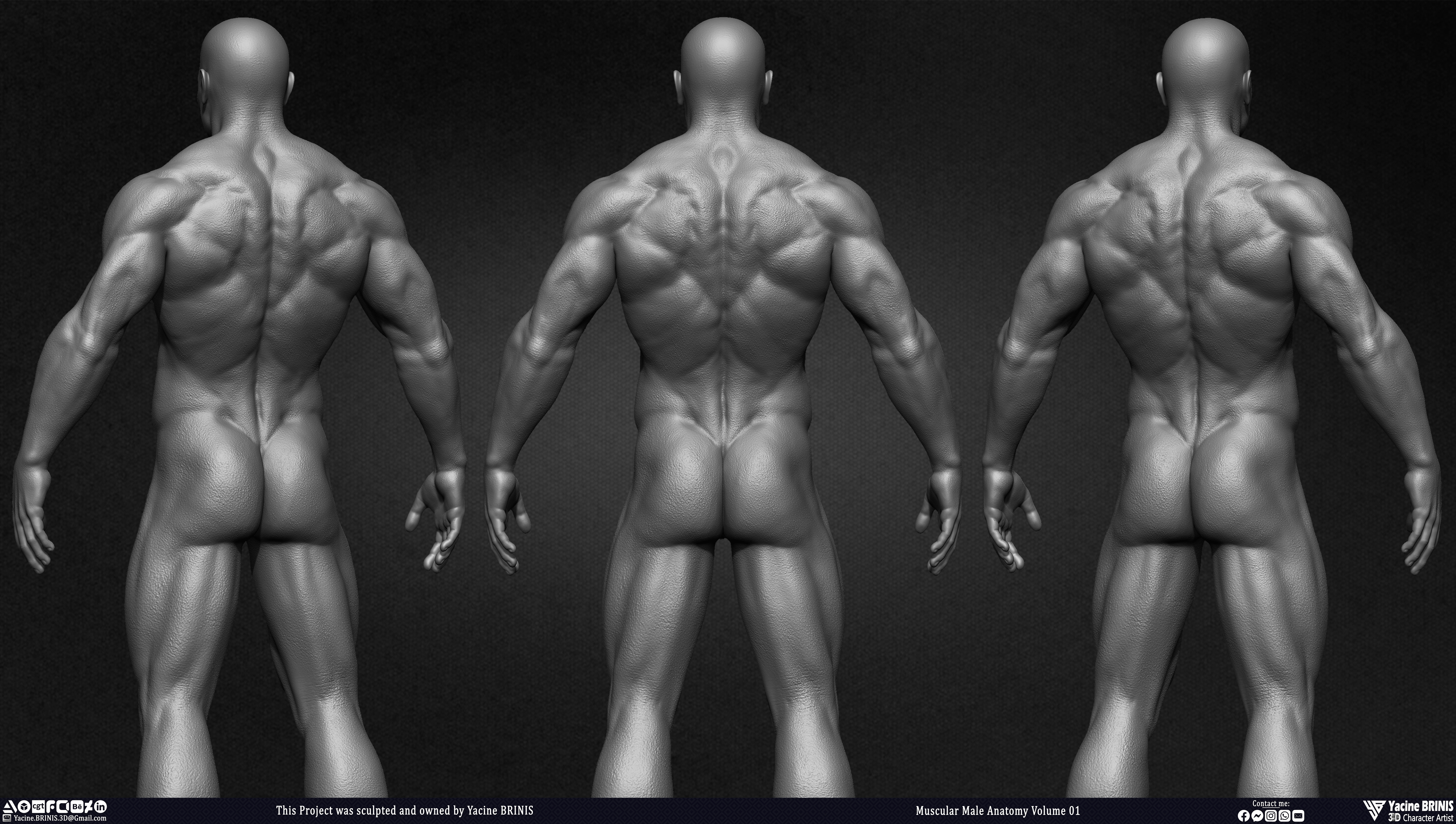 Muscular Male Anatomy 3D Character sculpted by Yacine BRINIS 004