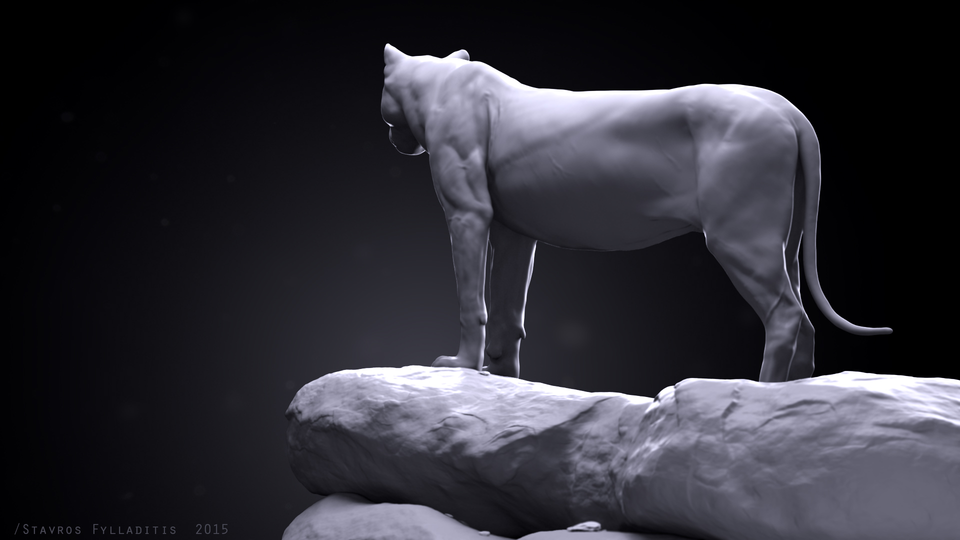 Lion_cam_02_post.jpg