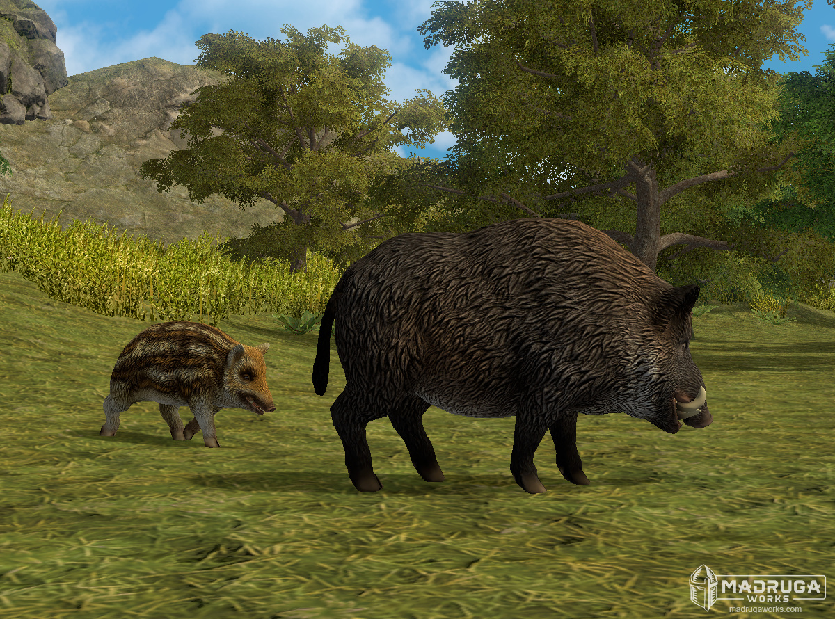 screen_boar_02