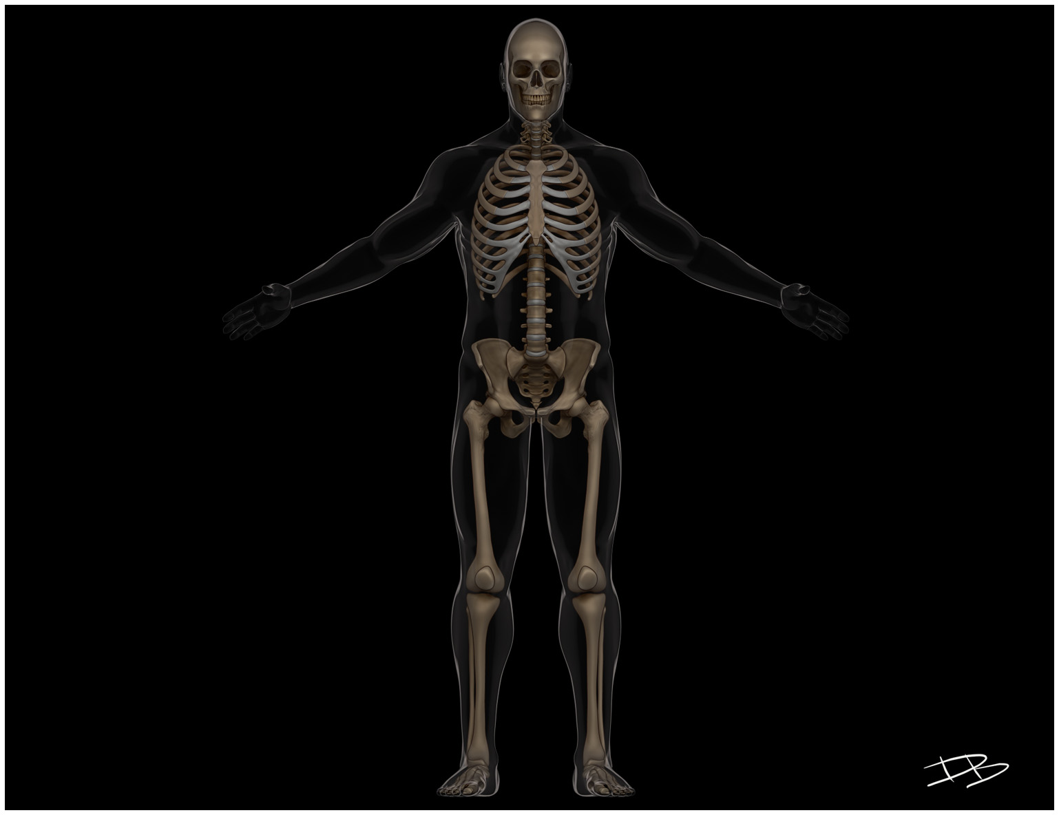 body.jpg