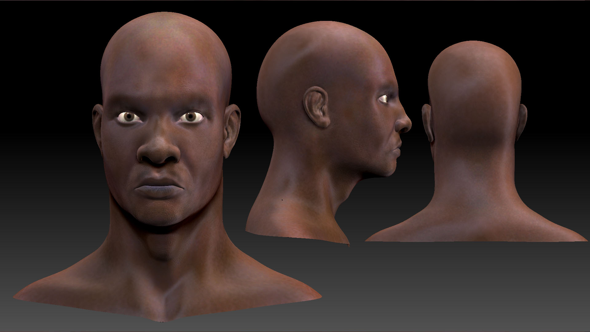 maleHead_wip final.jpg