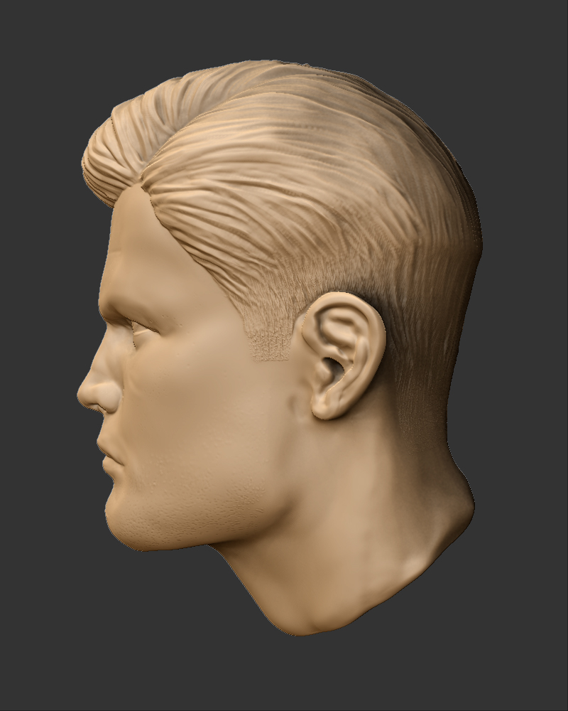 HairLeft.jpg