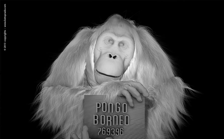 2014_leoBurnett_02.png