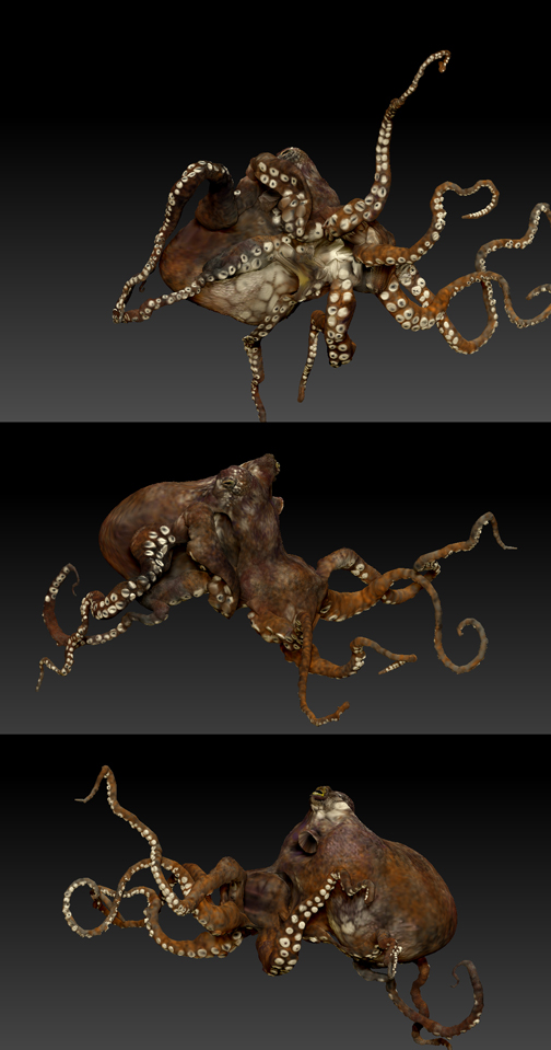 Octopus 3 views smaller.jpg