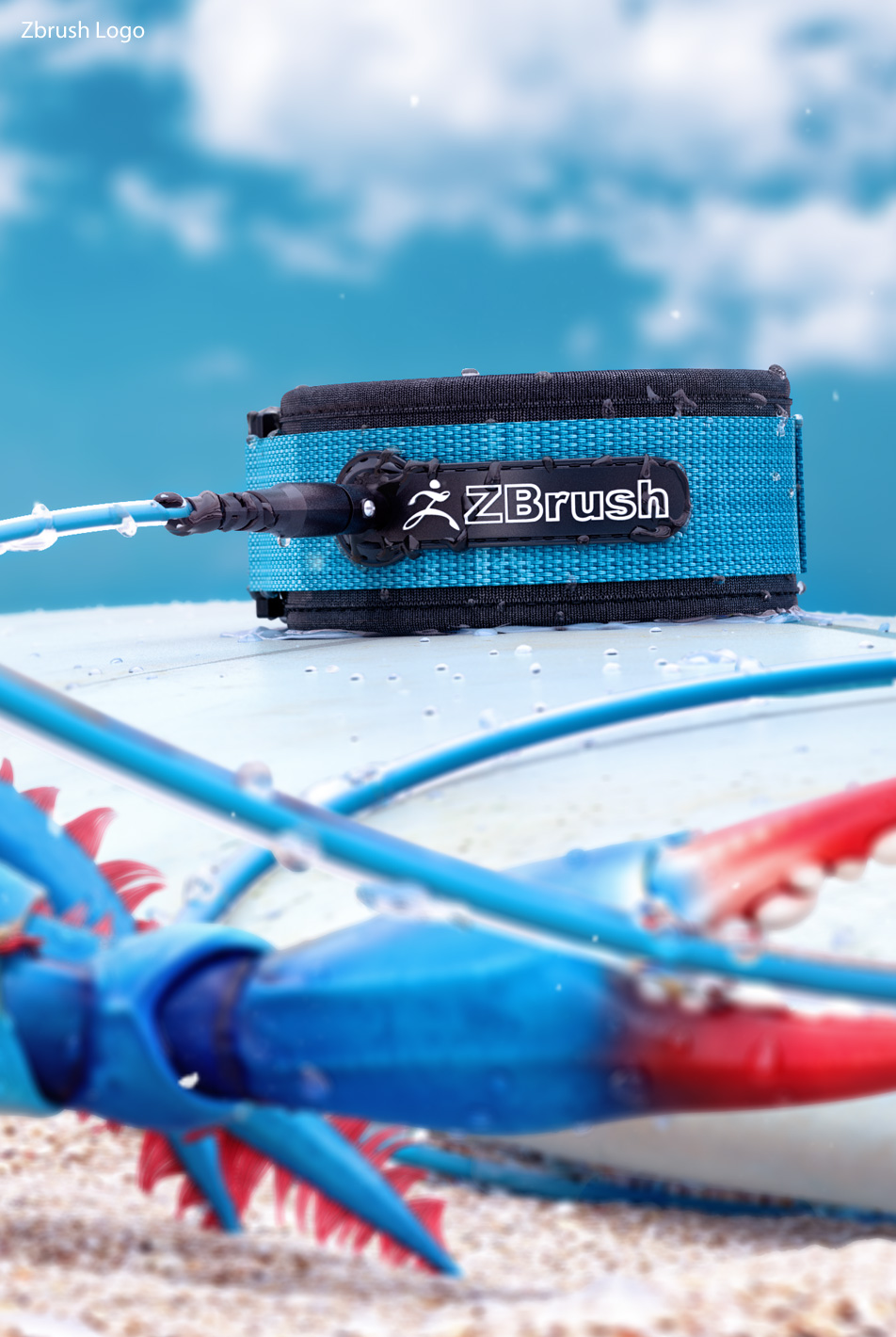 crab_04.jpg