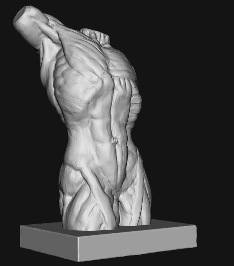 Torso1