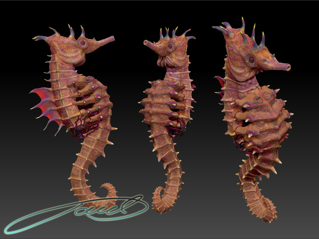 SEAHORSE_01.jpg