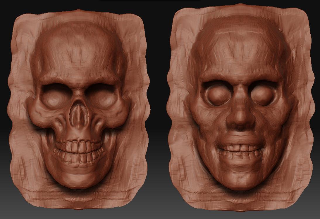 skull cont.jpg