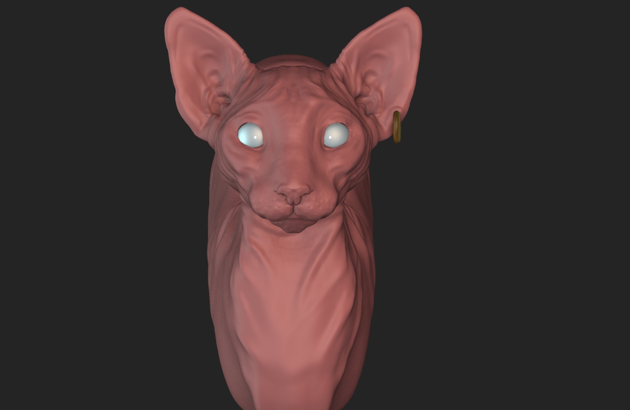 ZBrush Documentx.jpg