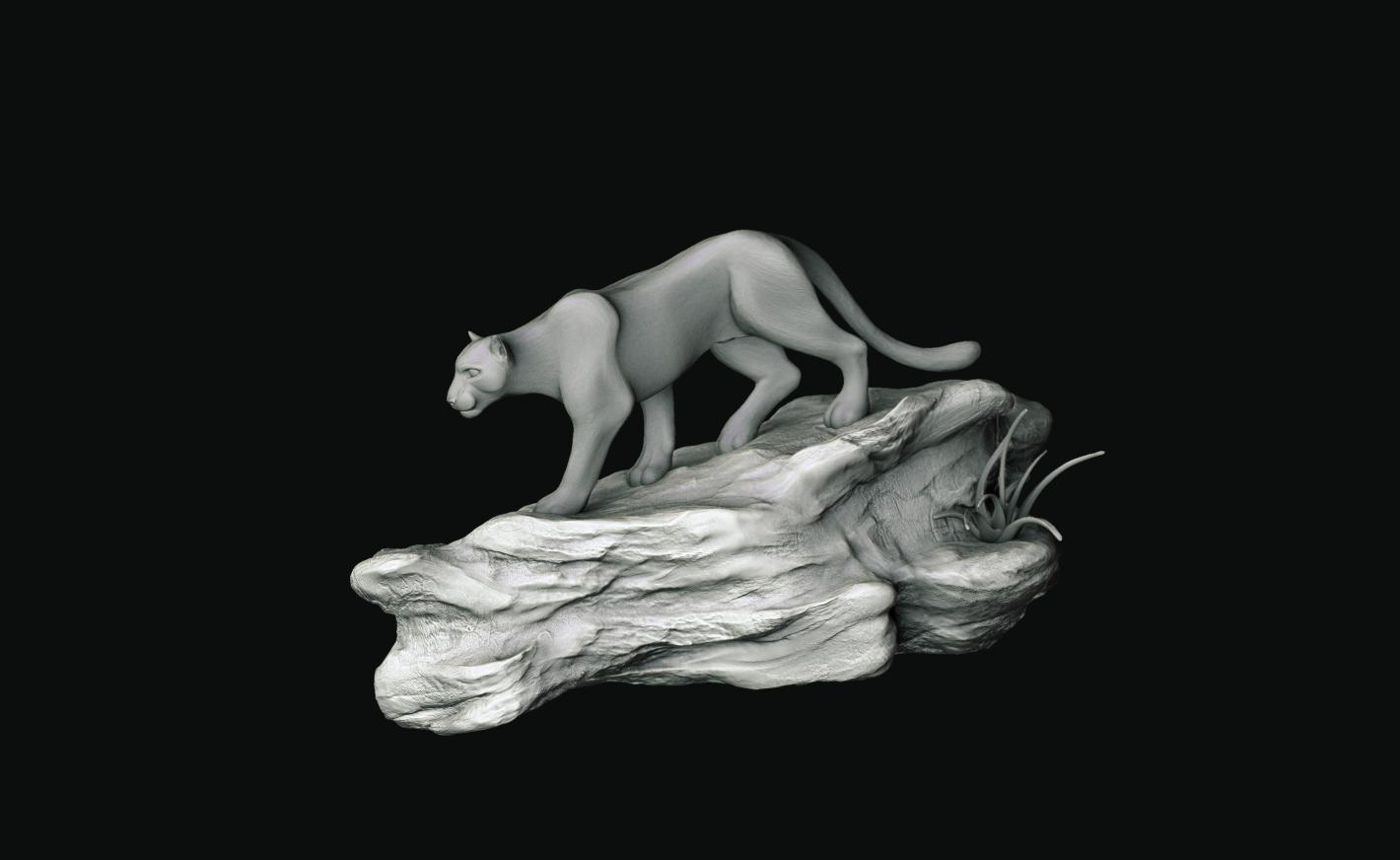 moni cougar 001.jpg