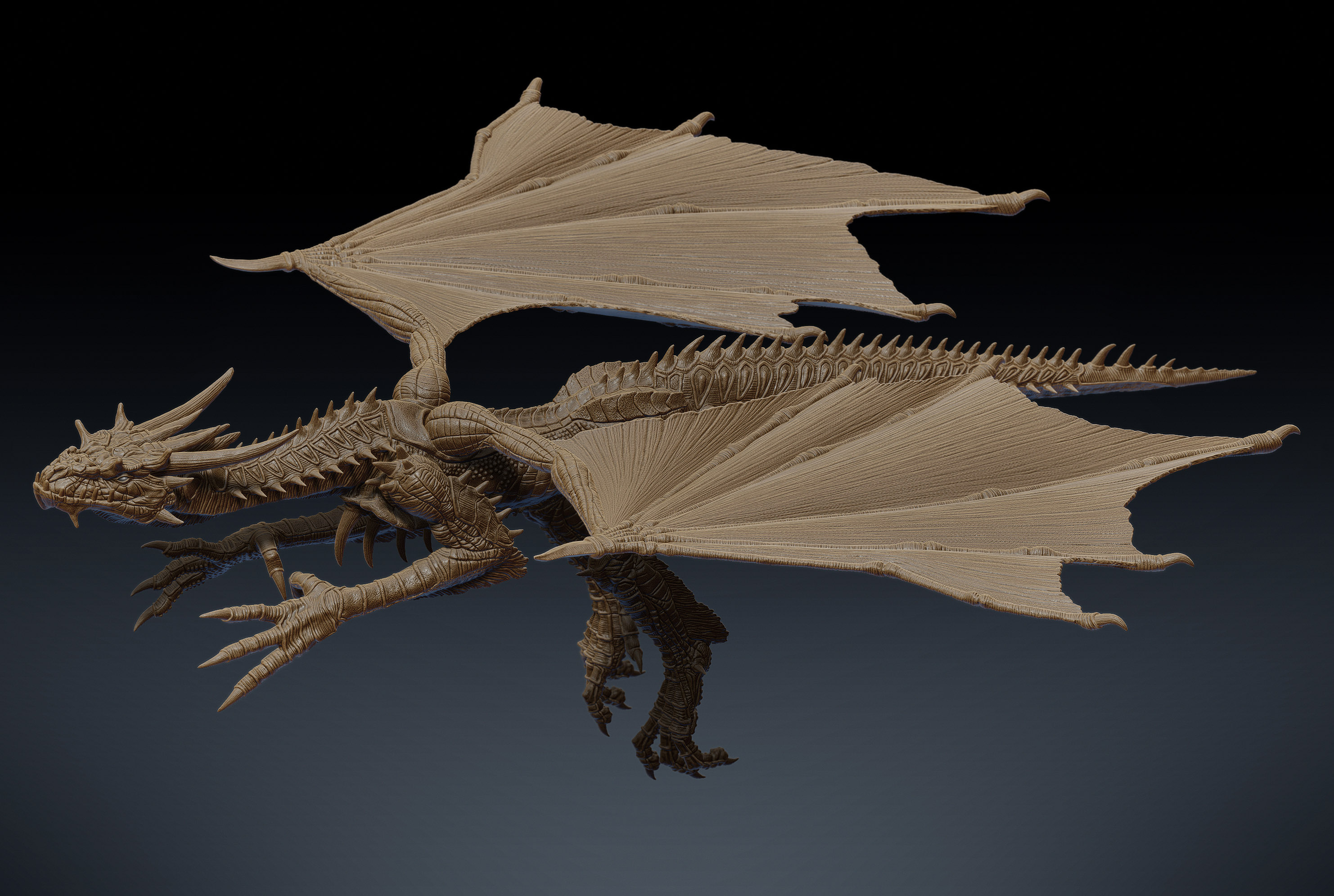 dragon_render_angle02_02.jpg