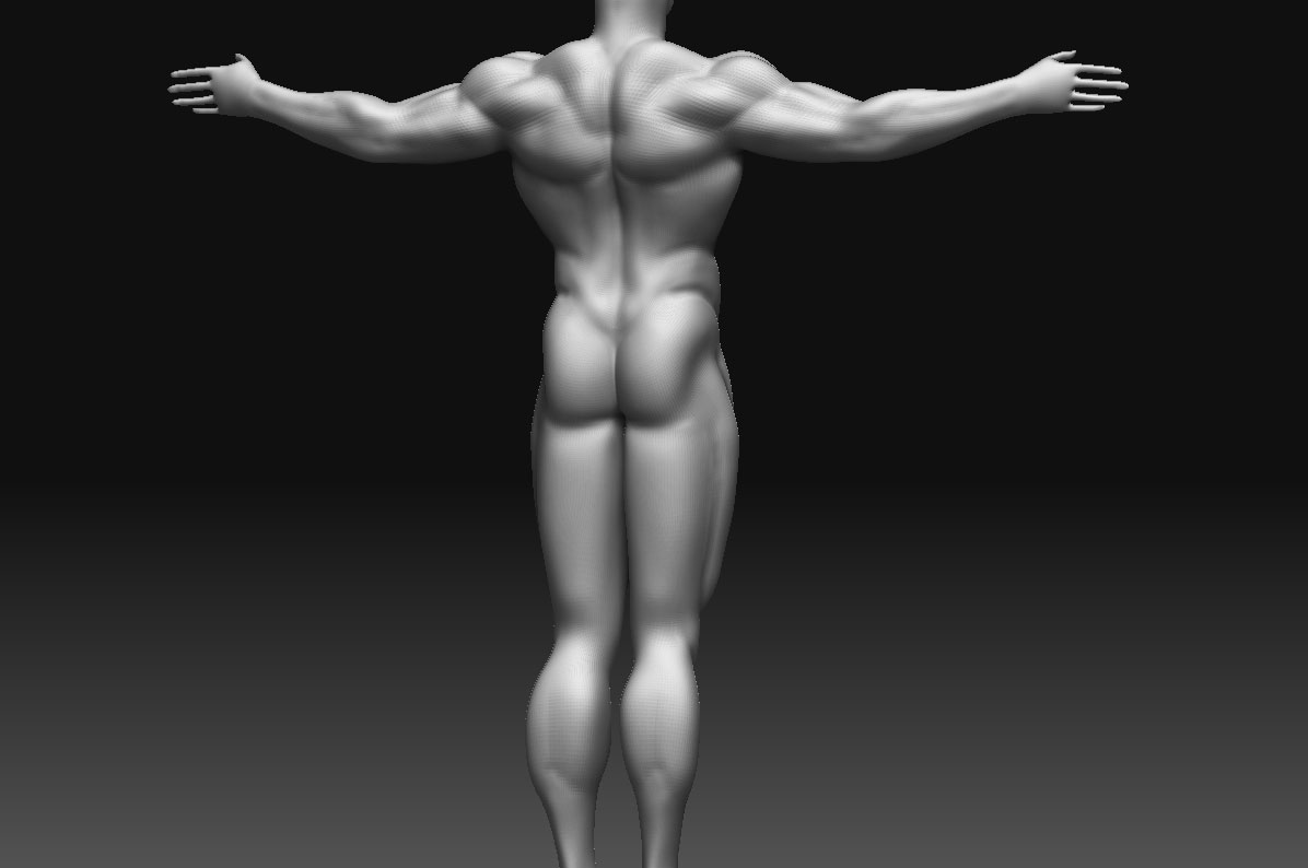 body2b.jpg