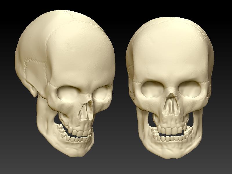 skullfinished.jpg