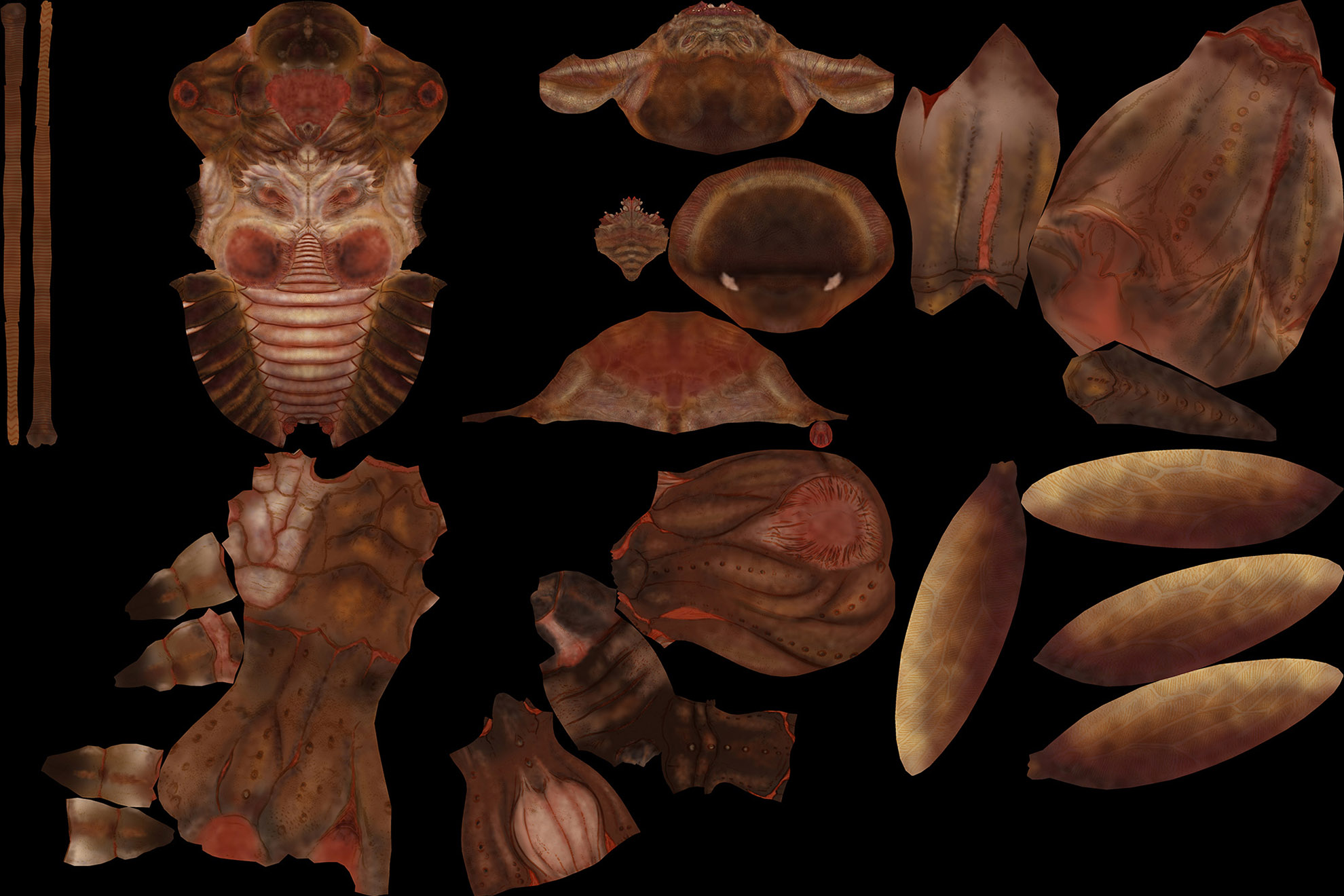 Flat Texture.jpg