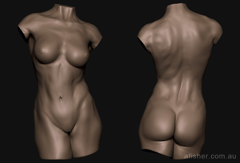 Zfem_sketch.jpg