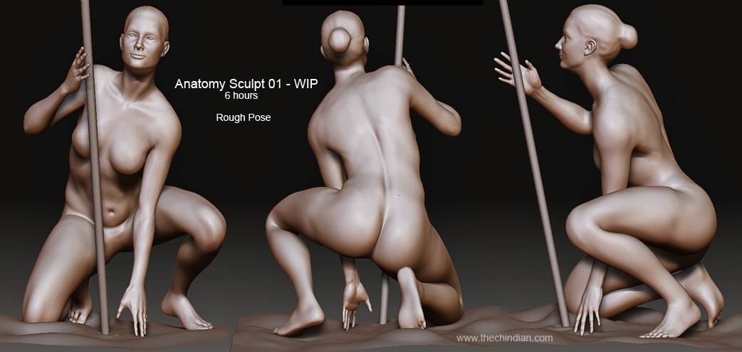 female_anatomy_02.jpg