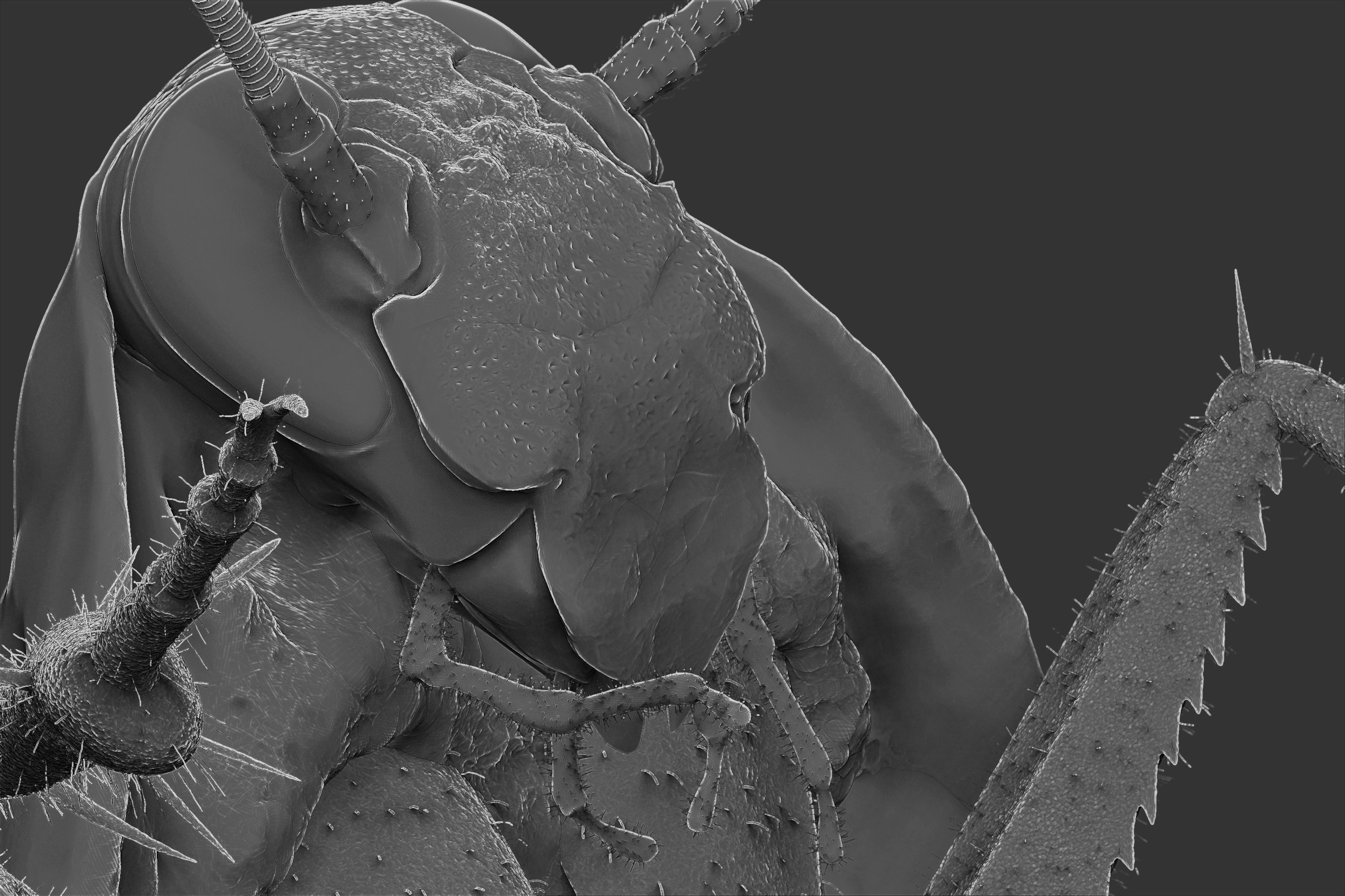 ZBrush Document2.jpg