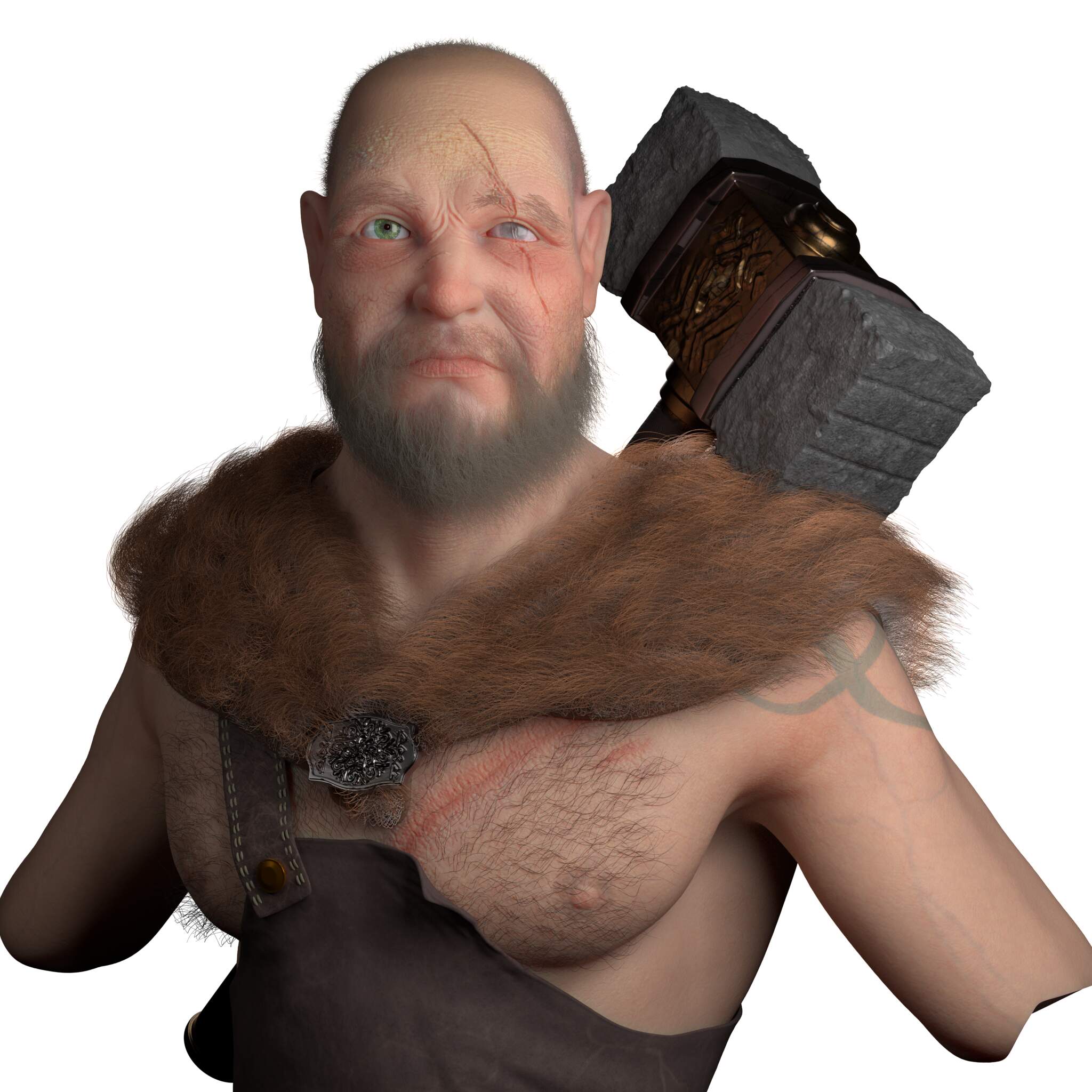 viking4