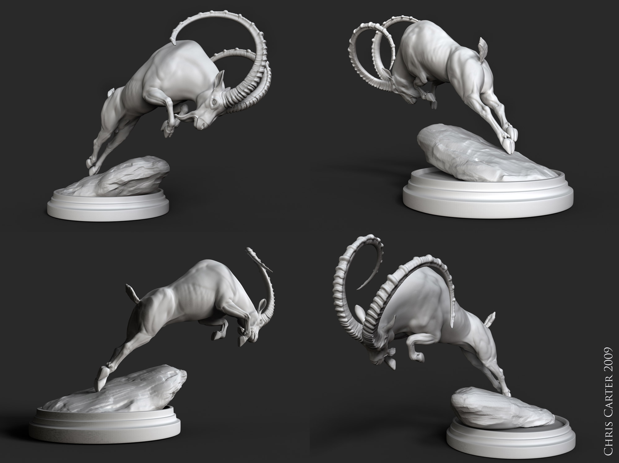 Ibex_WIP_24July2009_sm.jpg