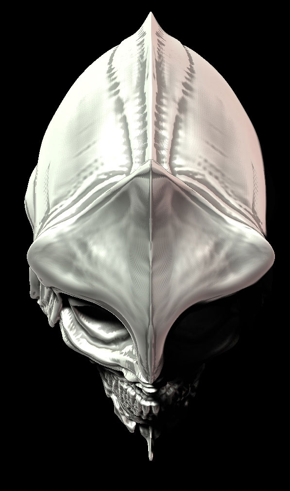shrike_head_wip_front_01_web.jpg