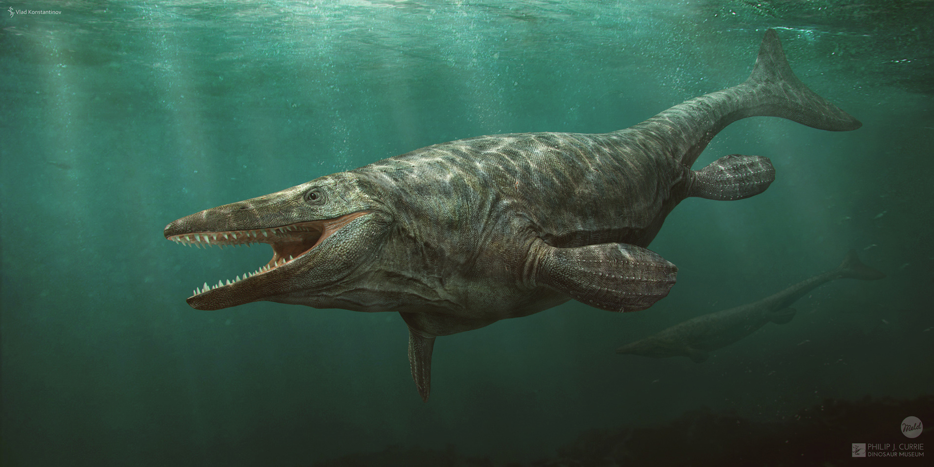 Tylosaurus_01(1900)_low.jpg
