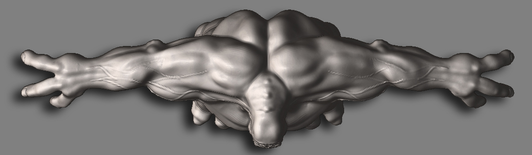 top veiny.jpg