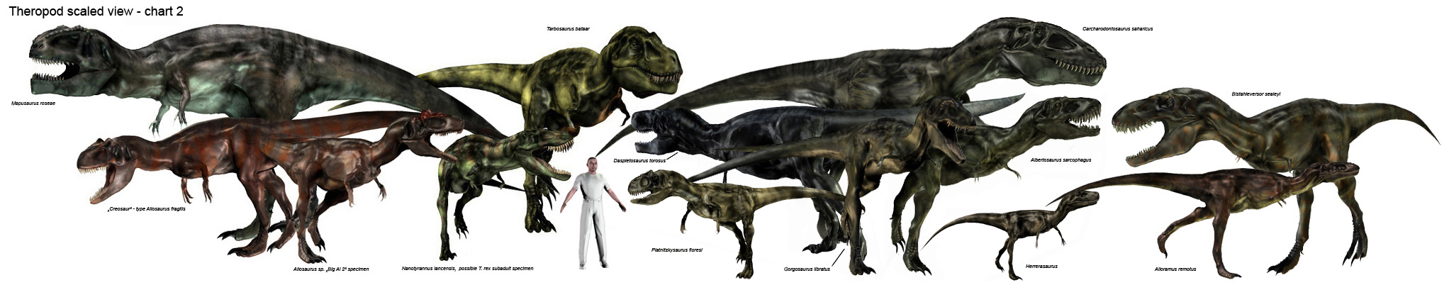 Theropod scaled chart 02.jpg