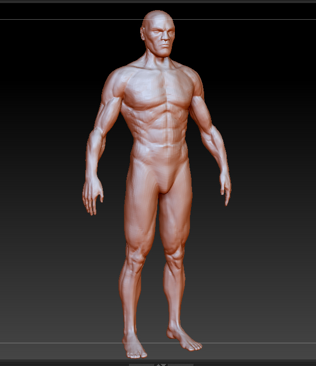 arc_body_front_1.jpg